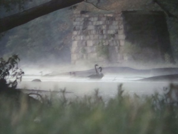 'Mistical' DSC01442 (2)